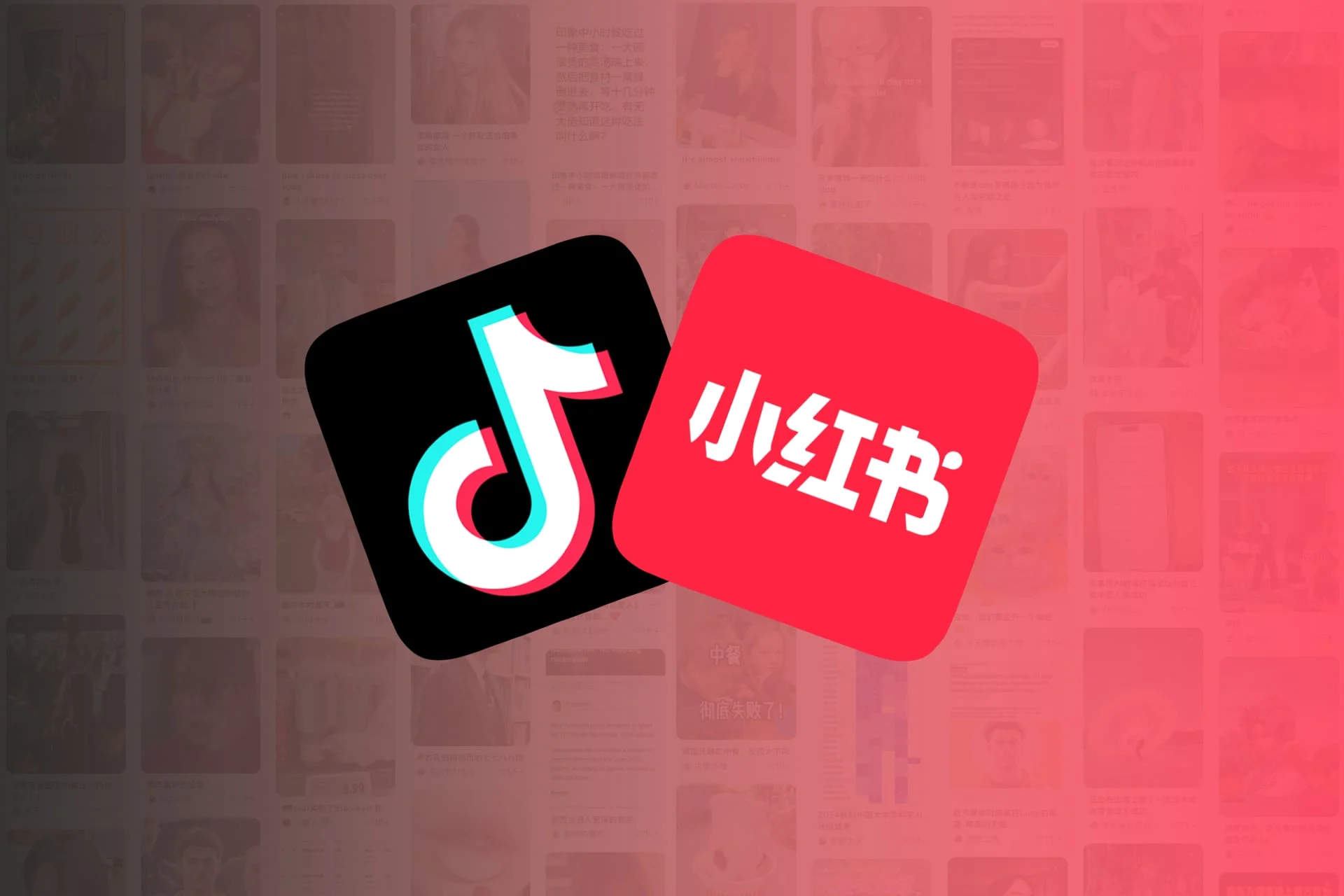 RedNote против TikTok: какая платформа вам подходит?
